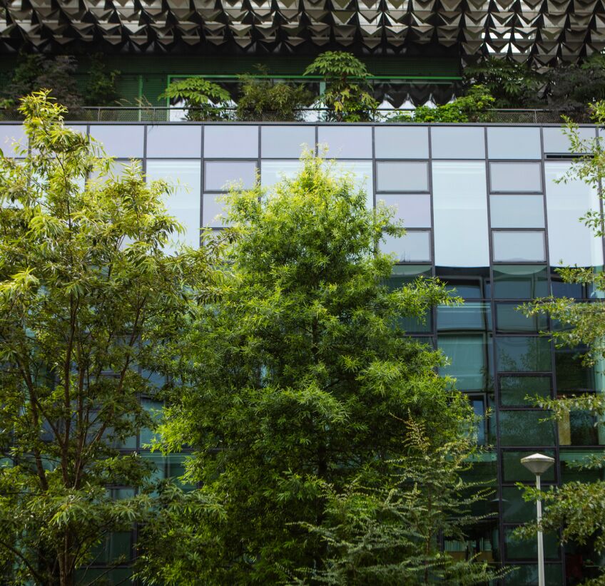 lush green trees outside of a modern building
